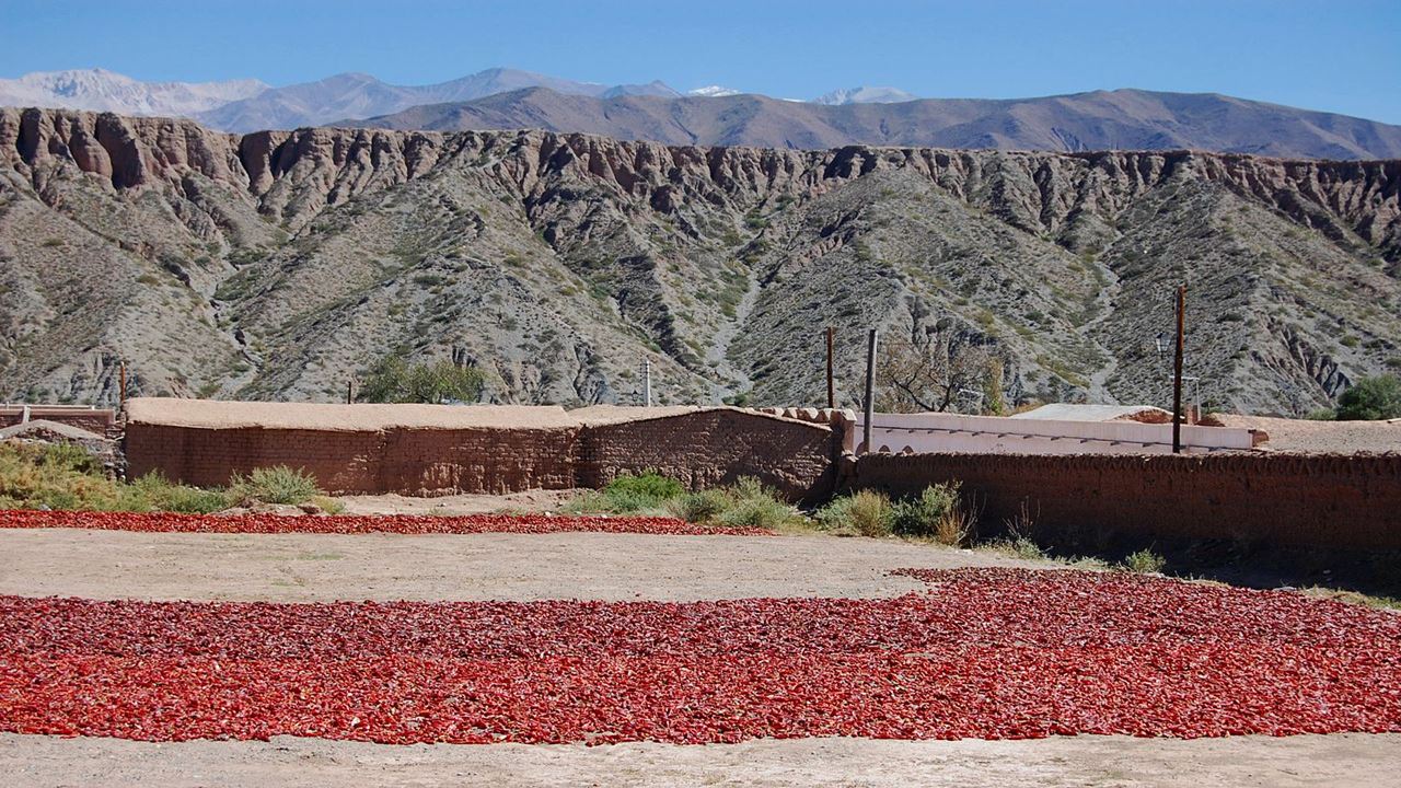 Excursion A Cachi (11)