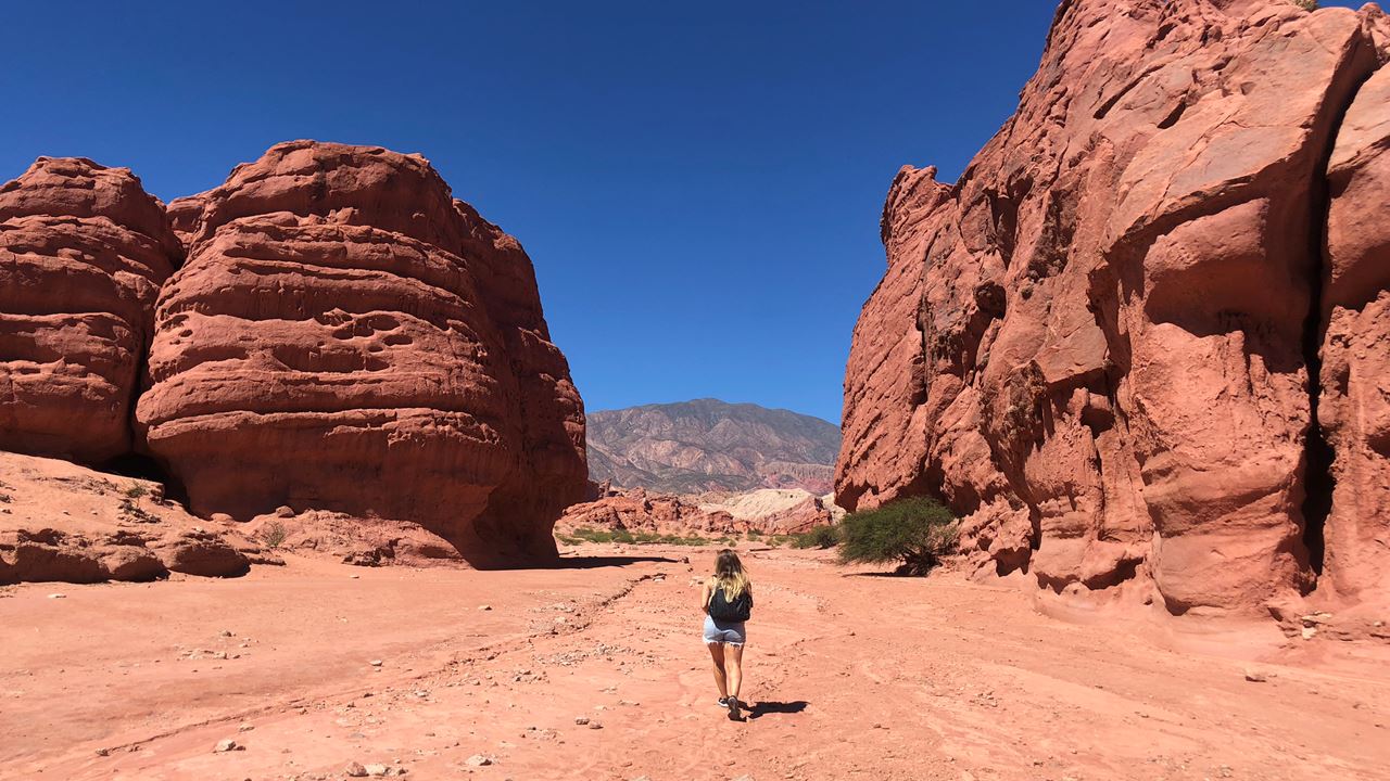 Excursion To Cafayate (8)