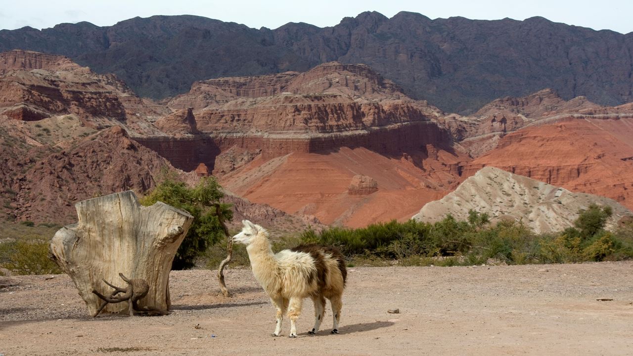 Excursion To Cafayate (7)