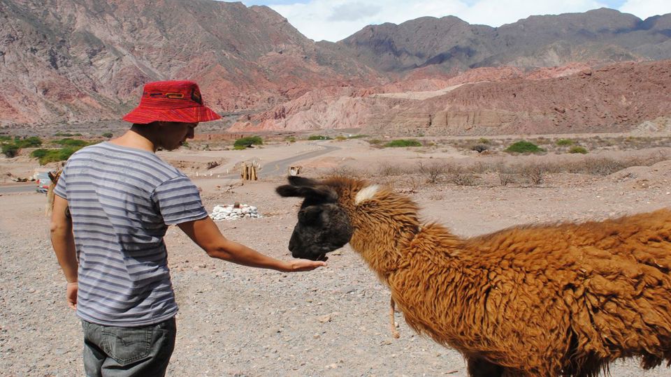 Cafayate with Torrontés Wine Tasting foto 7