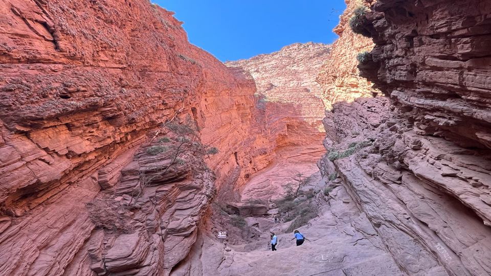 Cafayate with Torrontés Wine Tasting foto 13