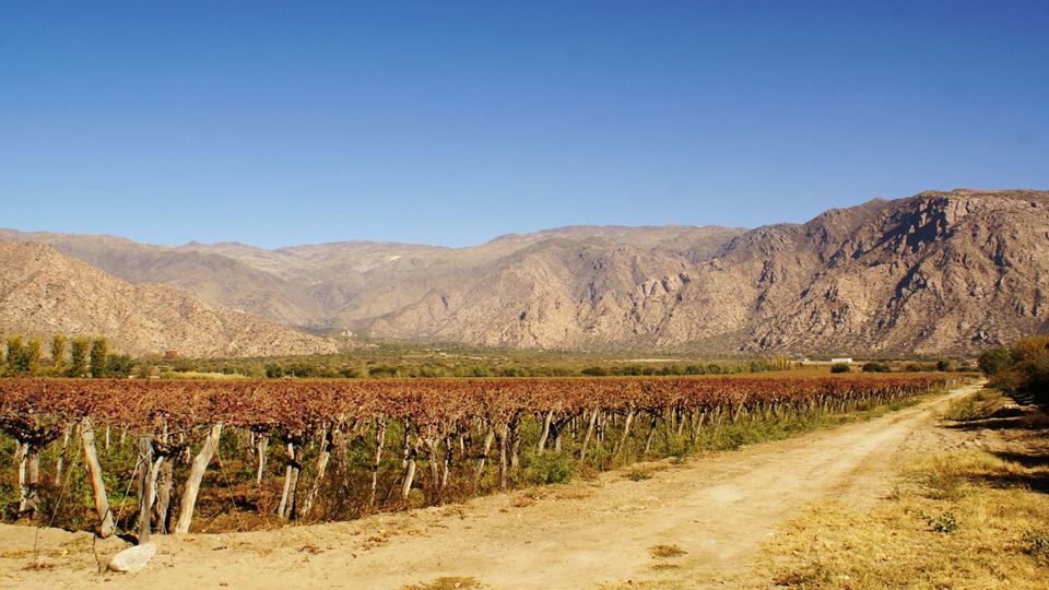 Cafayate en Privado con Degustación en Bodega foto 5