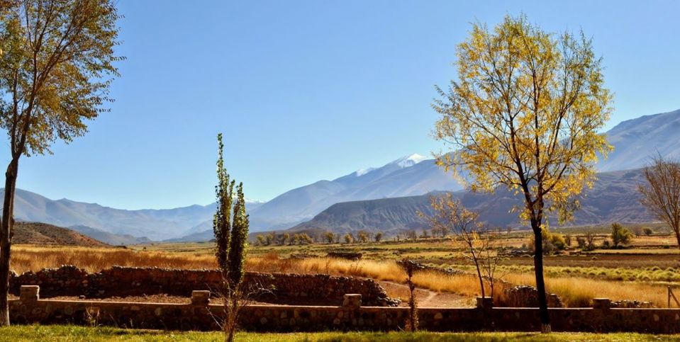 La Poma, Cuesta del Obispo y Parque Nacional Los Cardones foto 5