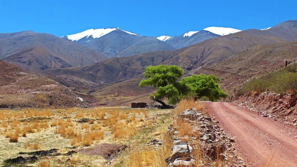 La Poma, Cuesta del Obispo y Parque Nacional Los Cardones foto 2