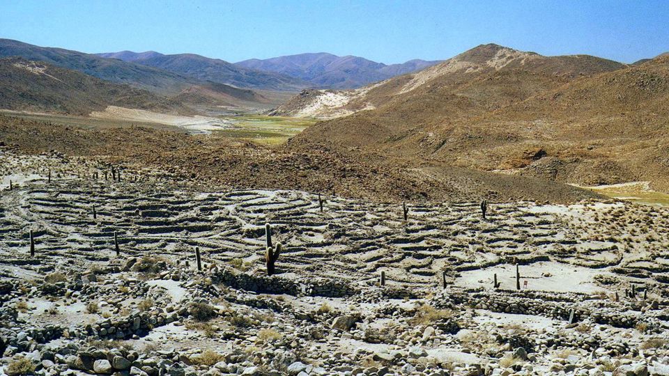 Laguna del Toro com Almoço e Observação de Flamingos foto 4