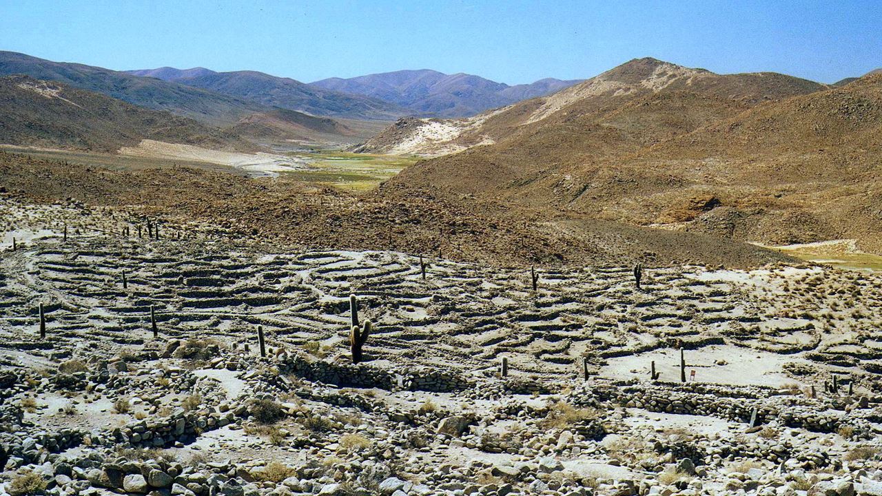 Laguna Del Toro Com Assistir Flamenco (3)
