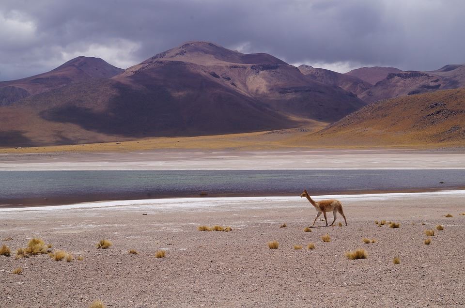 Laguna Del Toro Com Assistir Flamenco (1)