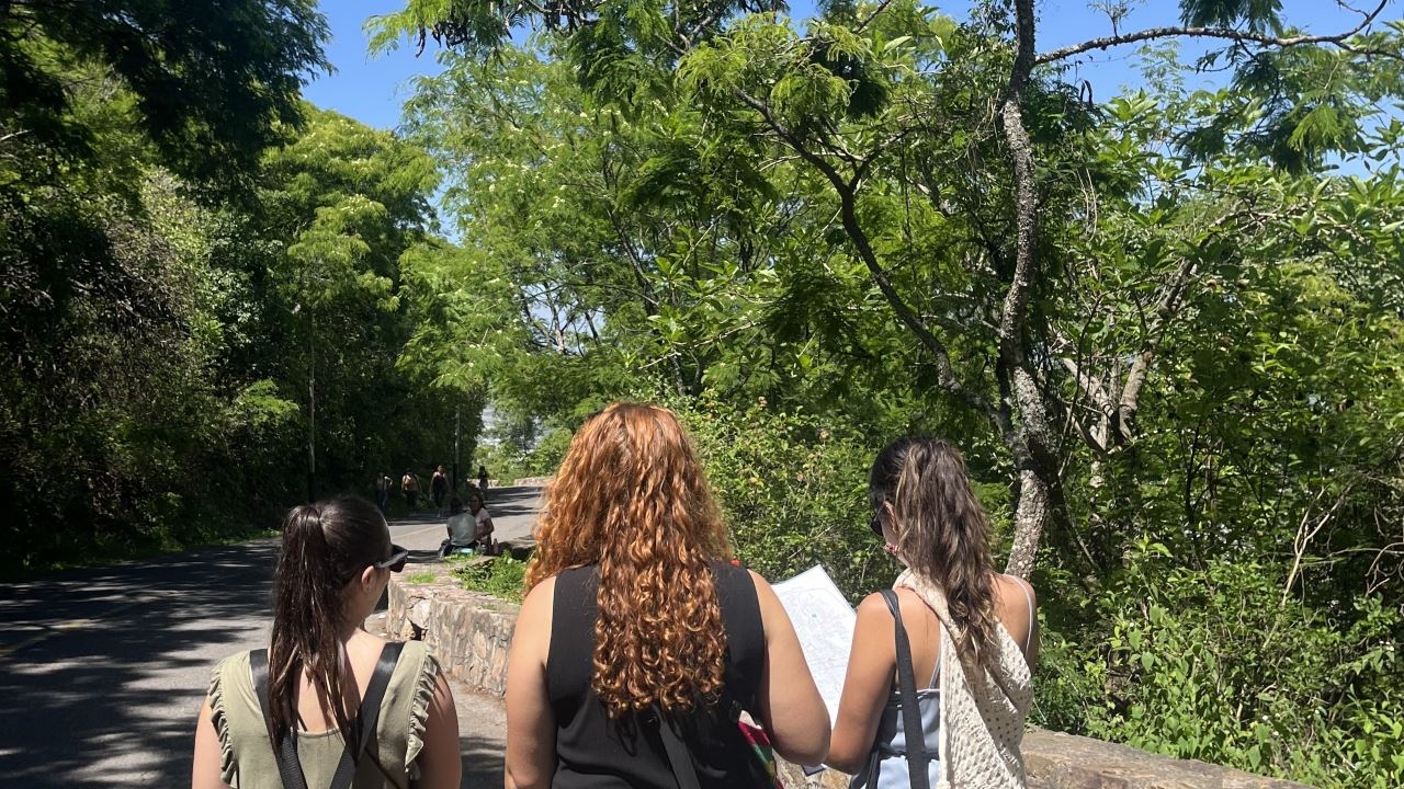 Private City Tour (5)