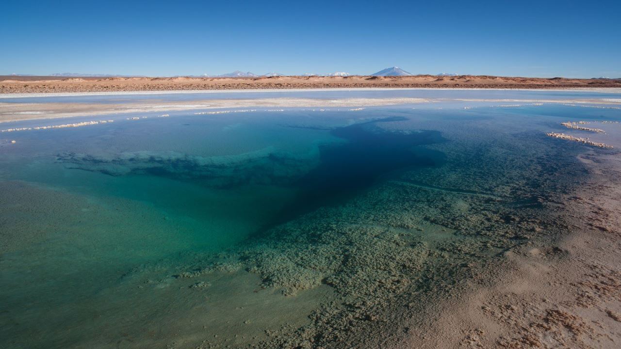 Exclusive Experience In The Argentine Puna foto 8