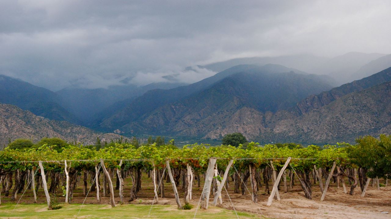 Paquete Turistico A Salta Y Jujuy Clasico foto 4