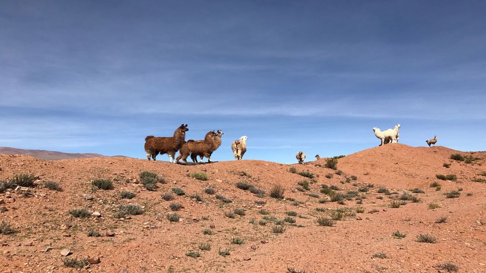 Train to the Clouds: Full Road with Transfers foto 6