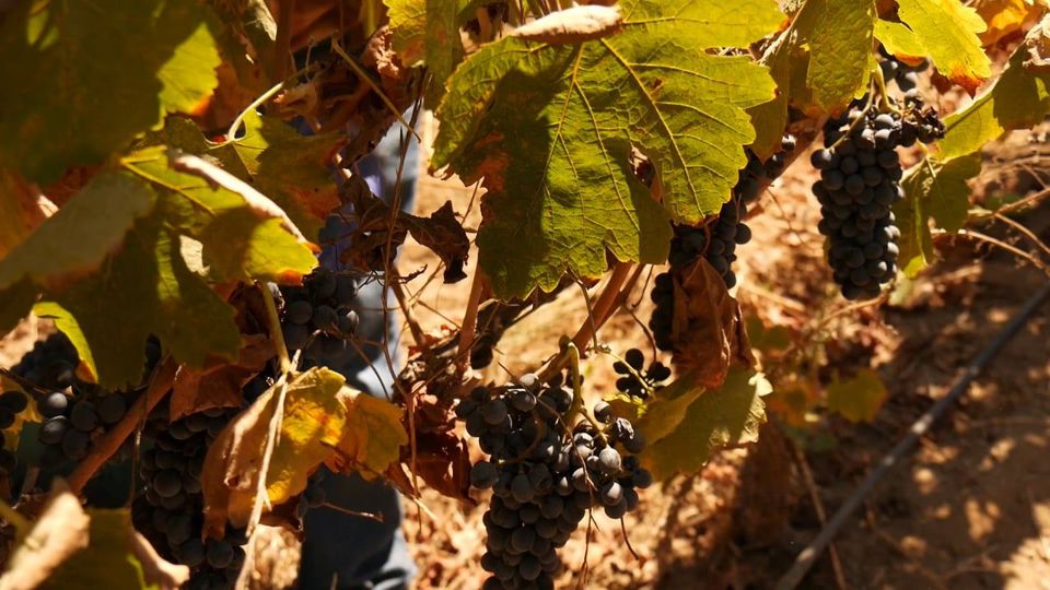 2-Day Calchaquí Valleys: Cachi & Cafayate foto 6