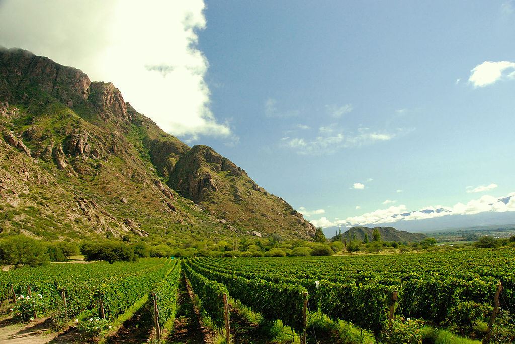 Percorrer Os Valles Calchaquies (3)