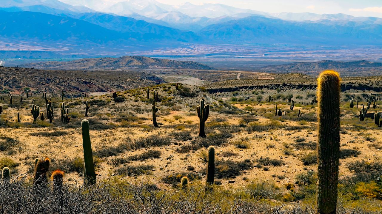 Percorrer Os Valles Calchaquies (2)